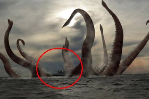 Kraken 18at зеркало