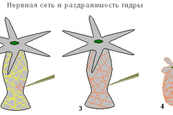 Ссылка на кракен тор kraken2 4aa337