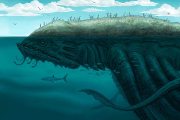 Kraken площадка