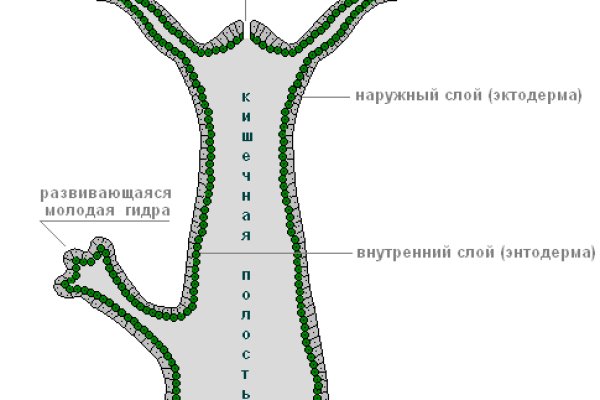 Кракен какой сайт