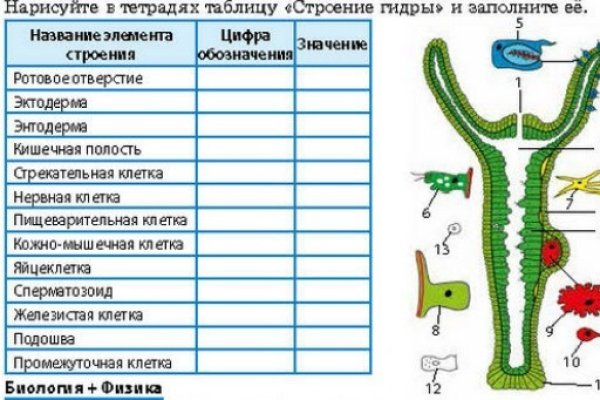 Кракен нар