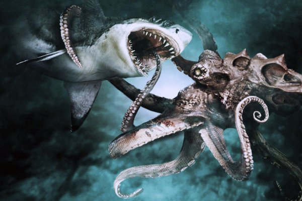 Kraken 18