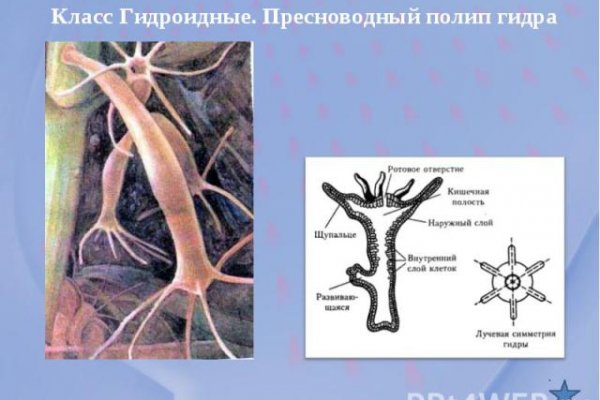 Кракен даркшоп