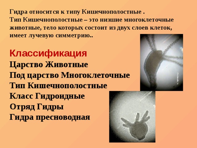Кракен сайт 1kraken me вход