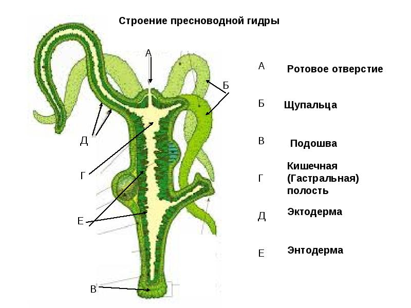 Kra49.cc Вход на сайт главная страница