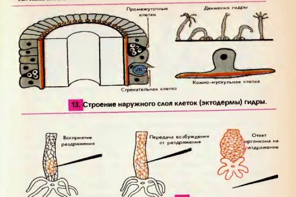 Кракен тор kr2web in